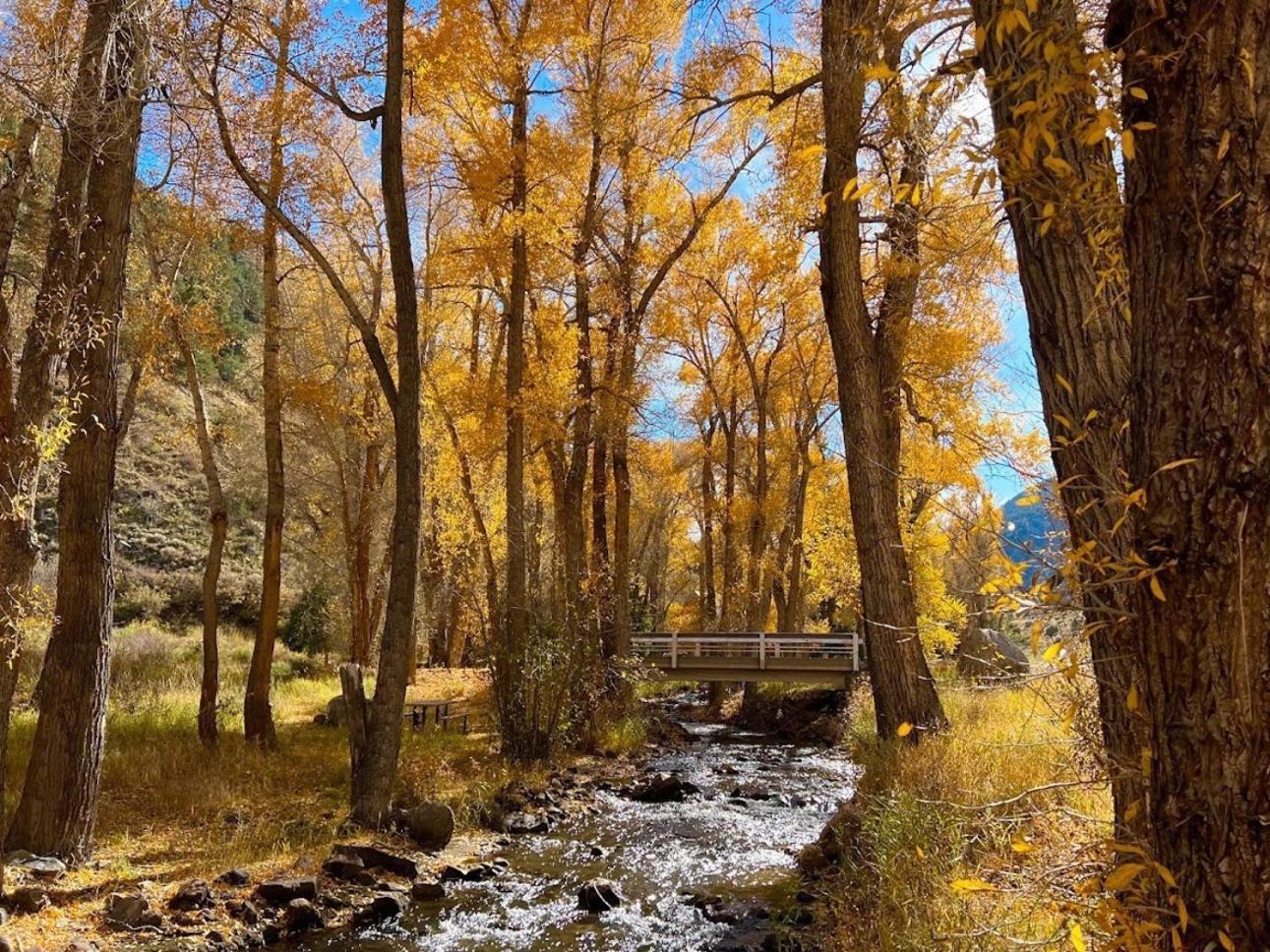 Poncha Creek Mountain Lodge, Near Monarch Mtn サライダ エクステリア 写真